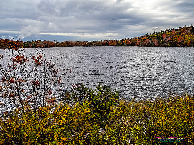 Nova Scotia in Fall 154