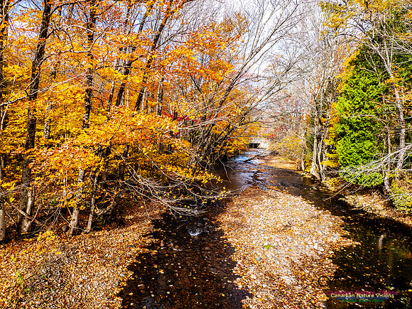 Nova Scotia in Fall 227