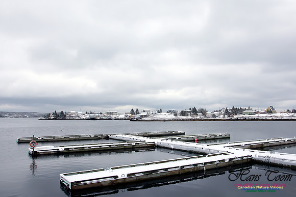 Late Winter Snowfall March 11,2016