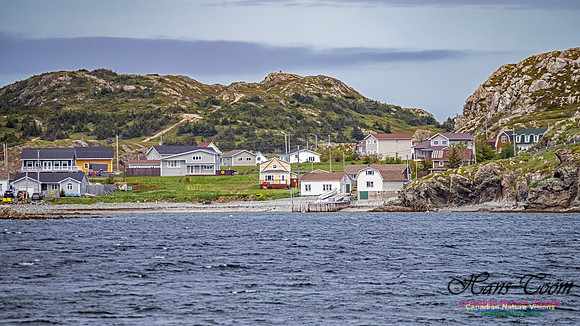 Twillingate 124