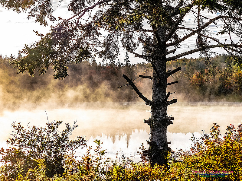 Nova Scotia in Fall 127