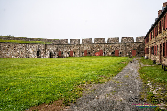 Fortress of Louuisbourg 115