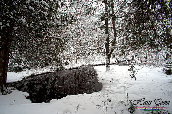 Mount Uniacke Museum Park in Winter