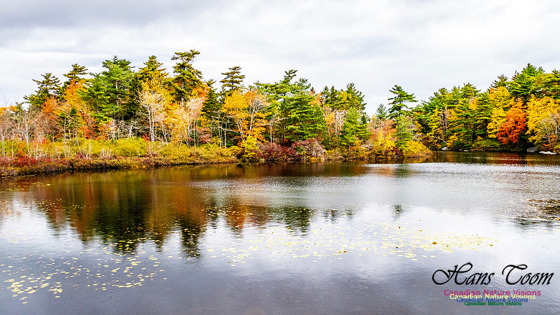 Nova Scotia in Fall 146