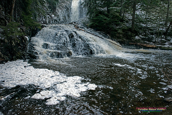 Butchers Falls