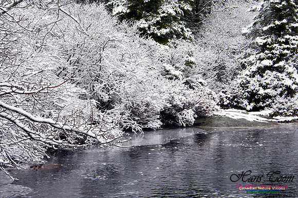 Late Winter Snowfall March 11,2016