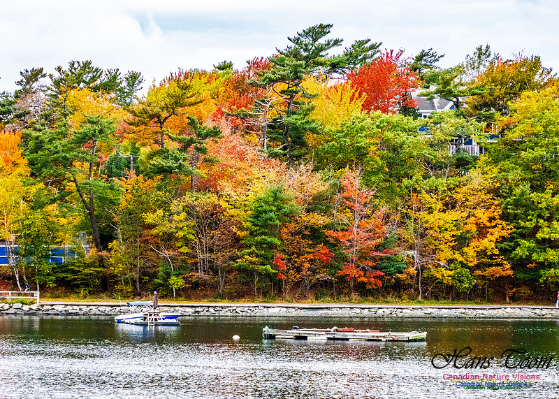 Nova Scotia in Fall 137