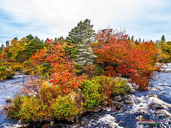 Nova Scotia in Fall 111