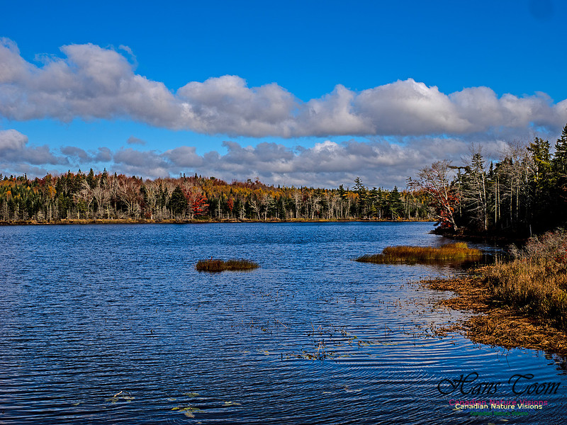 Nova Scotia in Fall 249