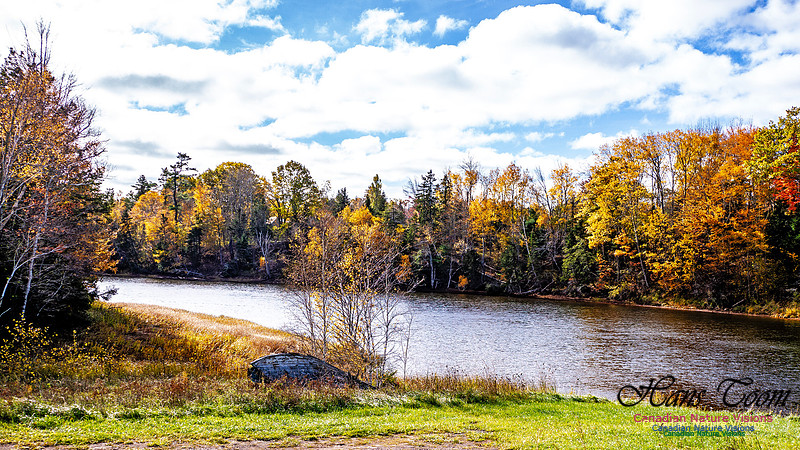Nova Scotia in Fall 210