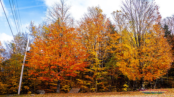 Nova Scotia in Fall 221