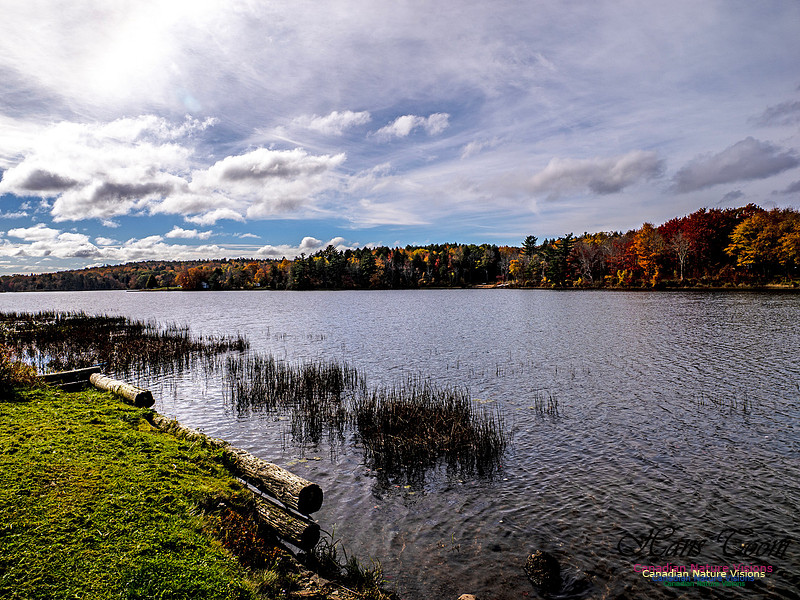 Nova Scotia in Fall 236