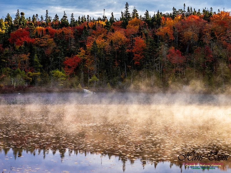 Nova Scotia in Fall 131
