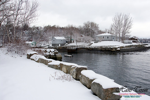 Late Winter Snowfall March 11,2016