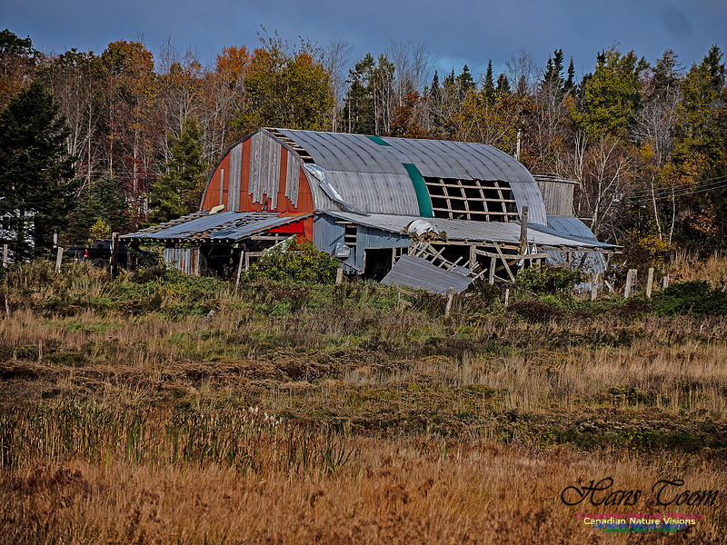Nova Scotia in Fall 276