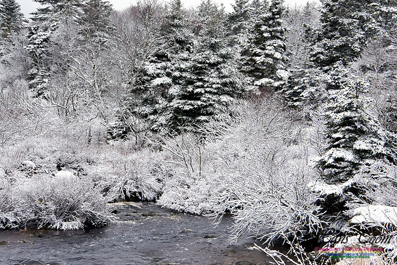 Late Winter Snowfall March 11,2016
