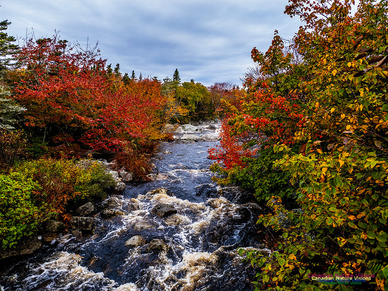 Nova Scotia in Fall 114