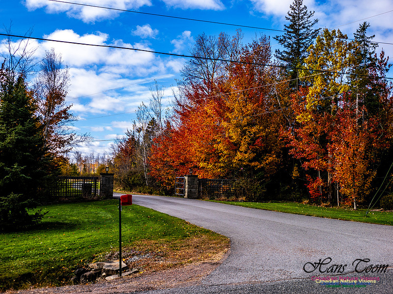 Nova Scotia in Fall 204