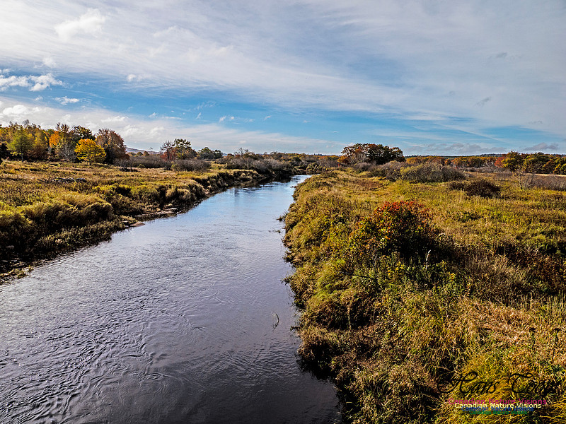 Nova Scotia in Fall 273