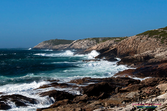 Eastern Head Gale