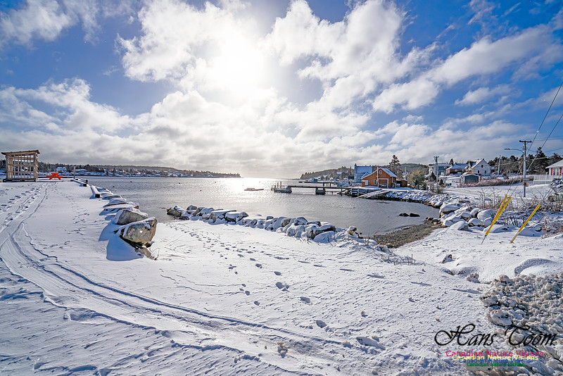 Nova Scotia Winter 334