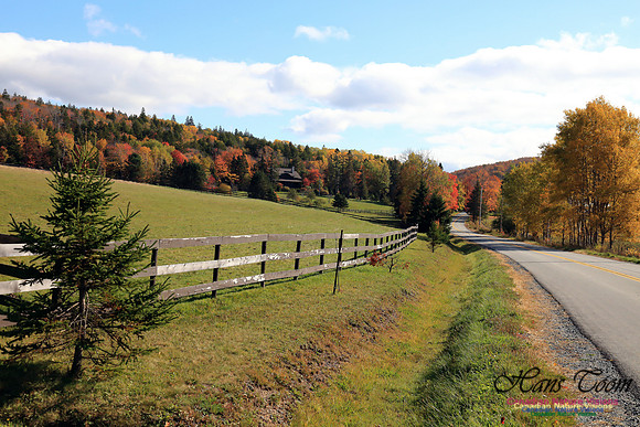 FallColours2016-1038