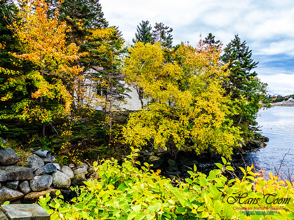 Nova Scotia in Fall 158