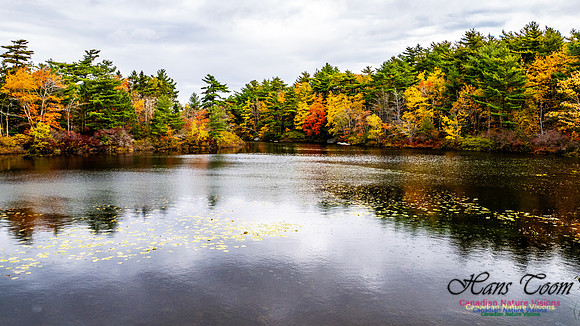 Nova Scotia in Fall 147