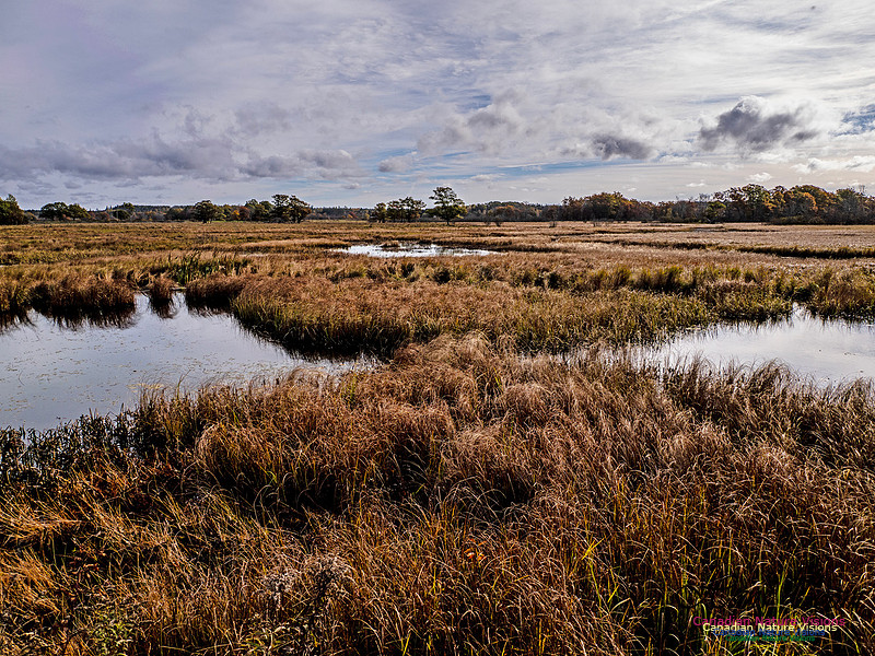 Nova Scotia in Fall 280