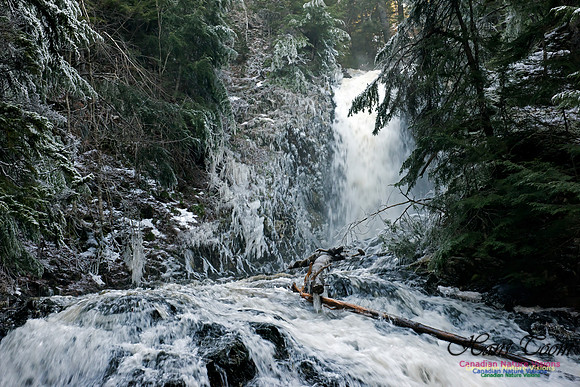 Butchers Falls