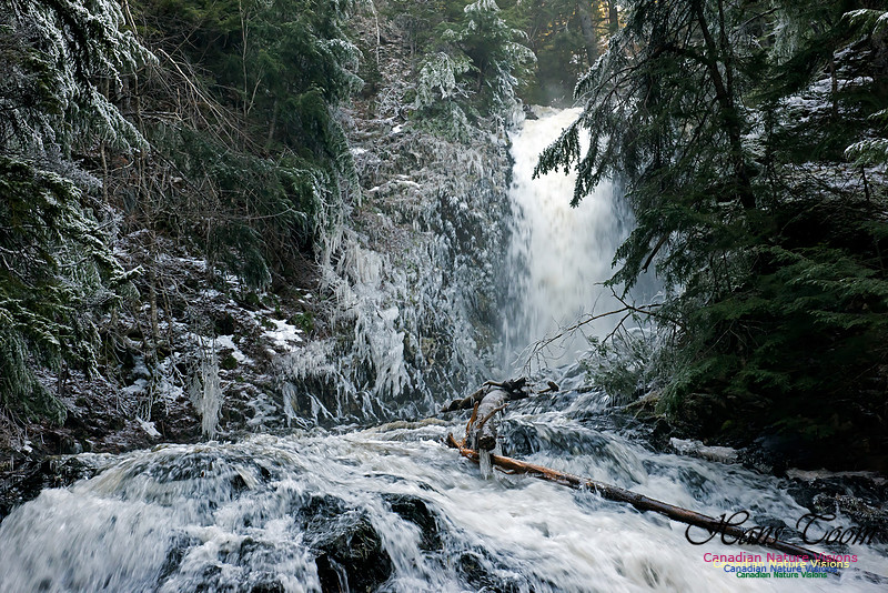 Butchers Falls