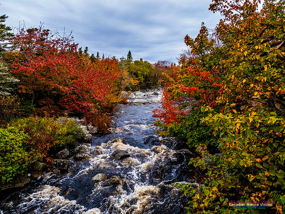 Nova Scotia in Fall 114
