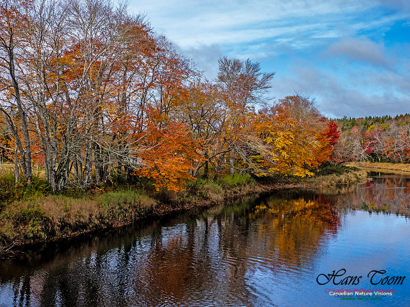Nova Scotia in Fall 283