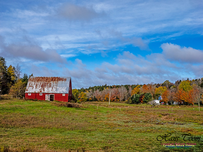 Nova Scotia in Fall 281