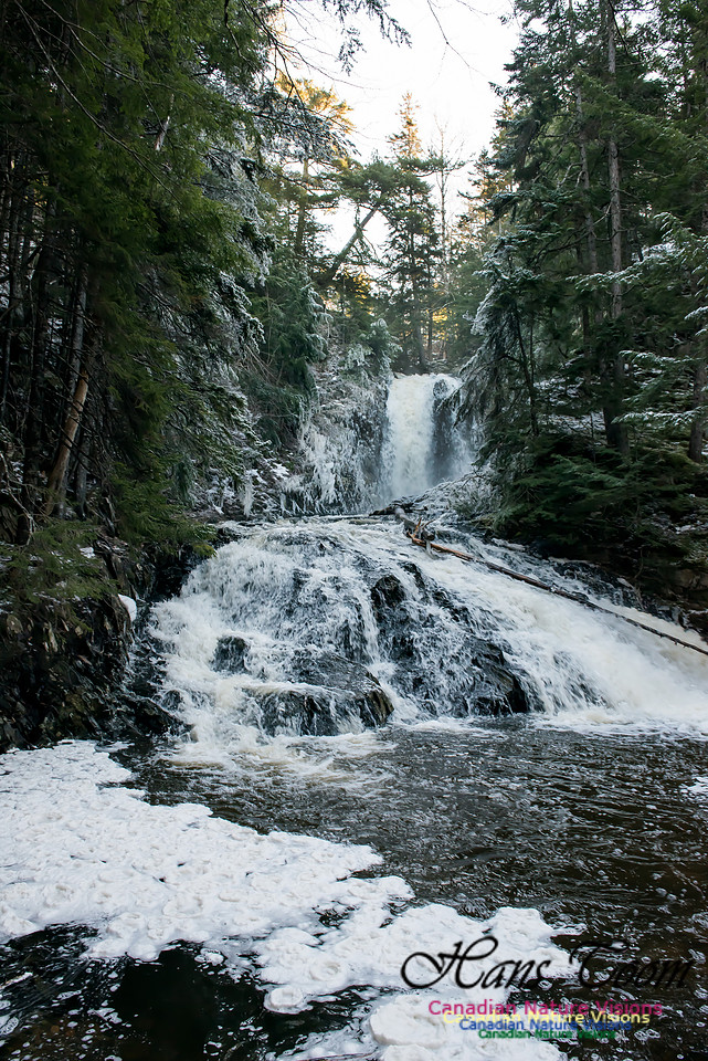 Butchers Falls