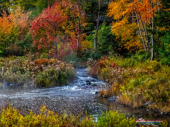 Nova Scotia in Fall 133