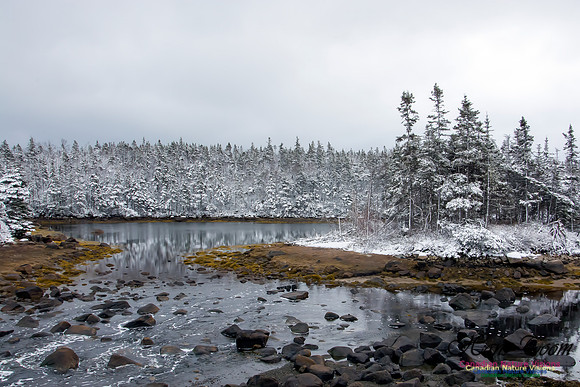 Late Winter Snowfall March 11,2016