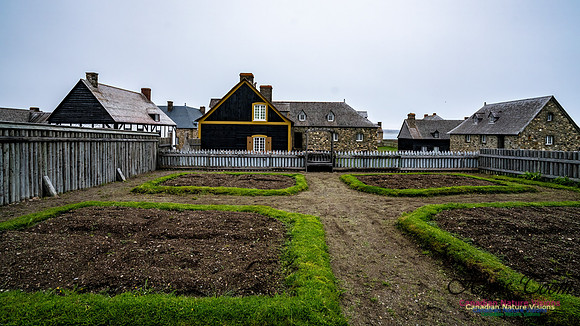 Fortress of Louisborg 134