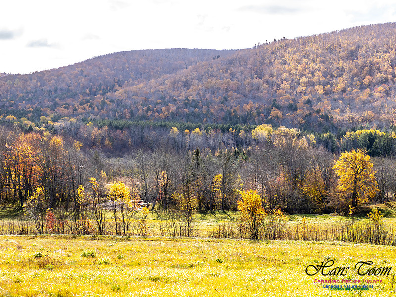 Nova Scotia in Fall 216