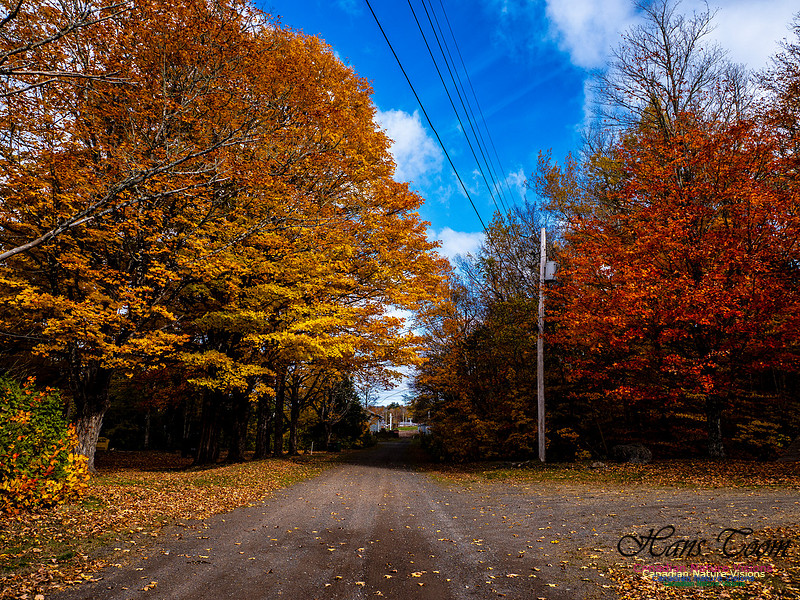 Nova Scotia in Fall 222