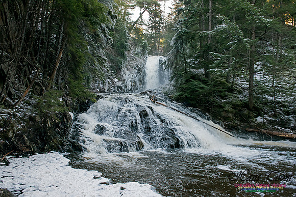 Butchers Falls