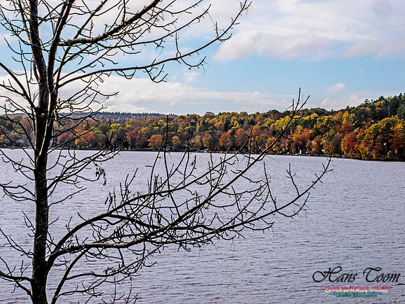 Nova Scotia in Fall 242
