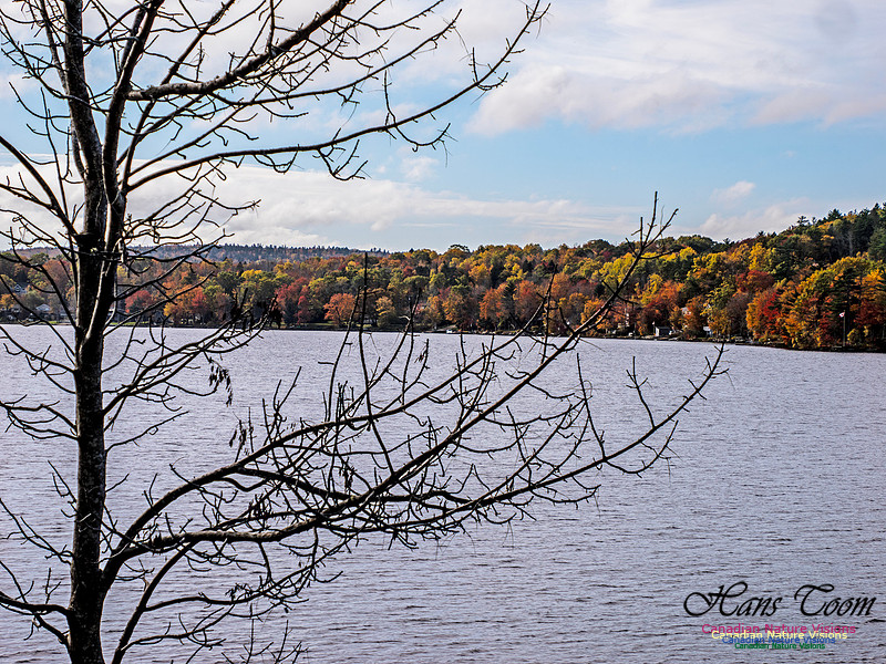Nova Scotia in Fall 242