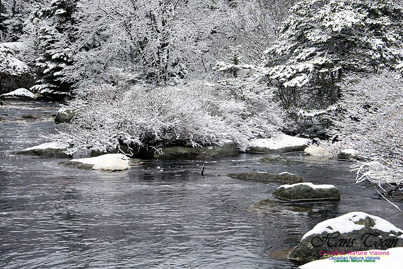 Late Winter Snowfall March 11,2016