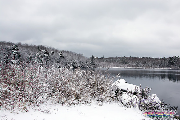 Late Winter Snowfall March 11,2016