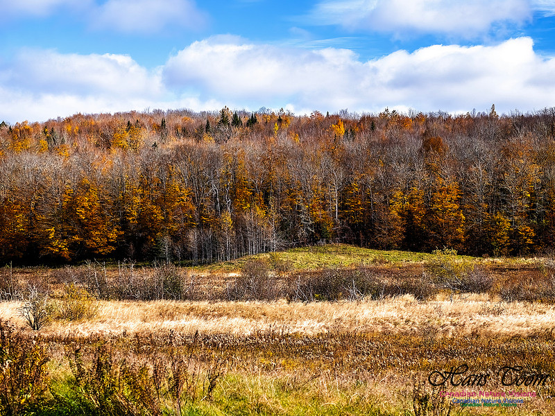 Nova Scotia in Fall 201