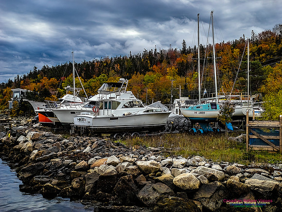 Nova Scotia in Fall 151