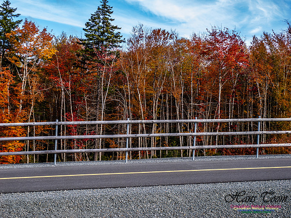 Nova Scotia in Fall 245