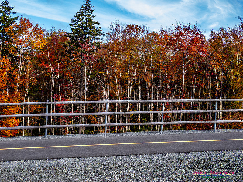 Nova Scotia in Fall 245