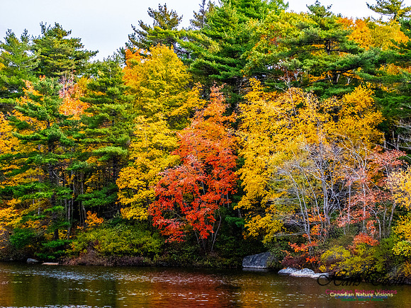 Nova Scotia in Fall 144